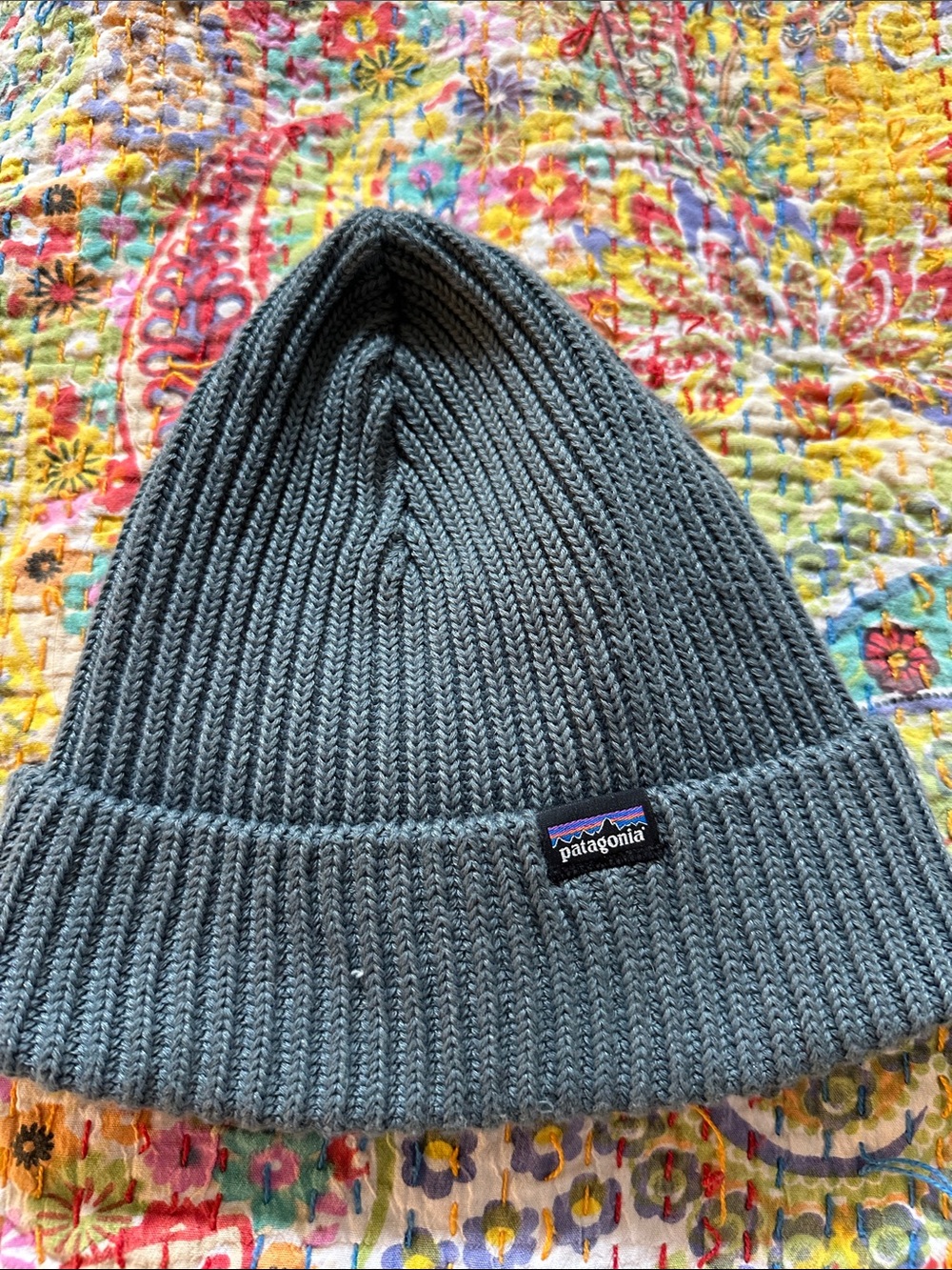 Patagonia Beanie